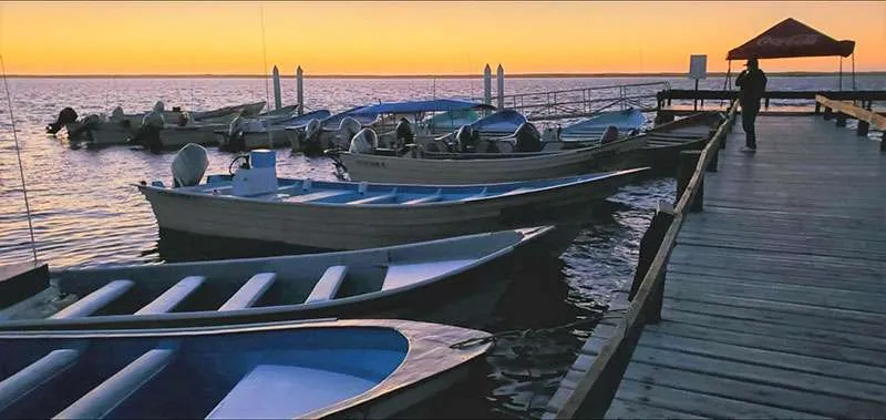 Boats at the dock at sunset
