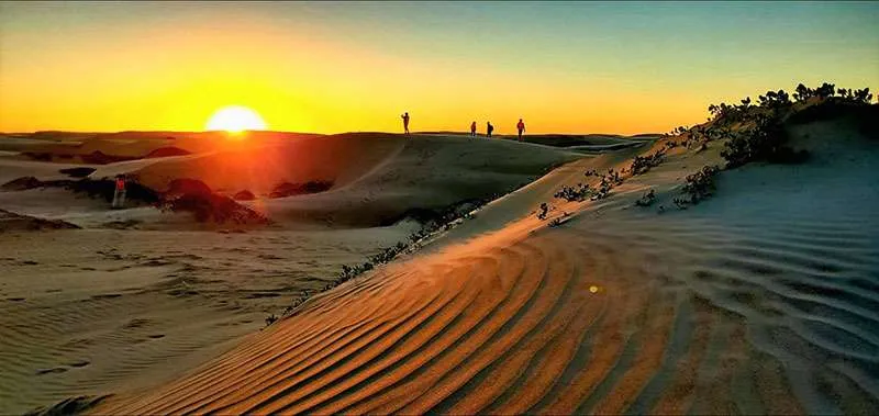Sand dunes at sunset
