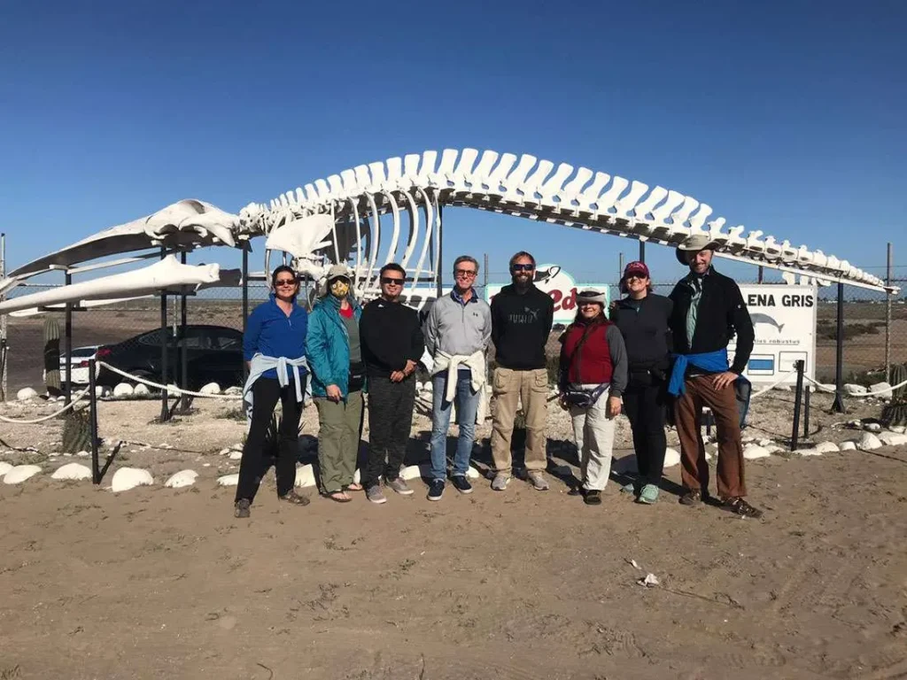 Adventure People standing in front of the skeleton of a gray whale