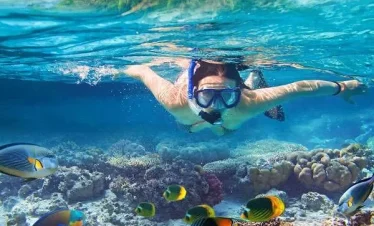Snorkeling in Fiji