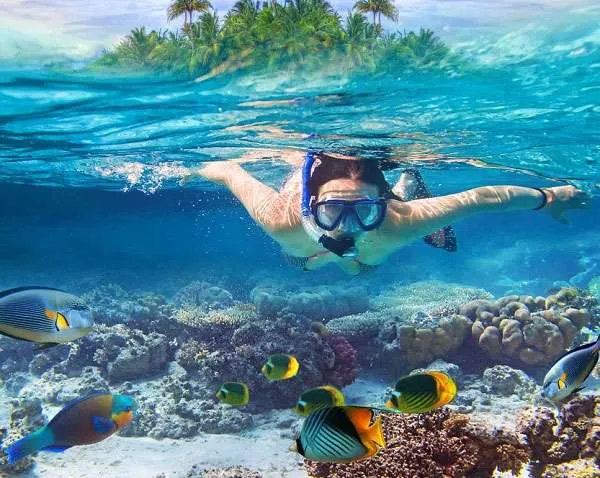 Snorkeling in Fiji