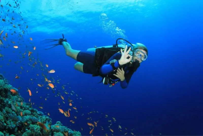Scuba Diving in Fiji
