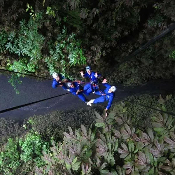Waitomo Lost World Half-Day Adventure