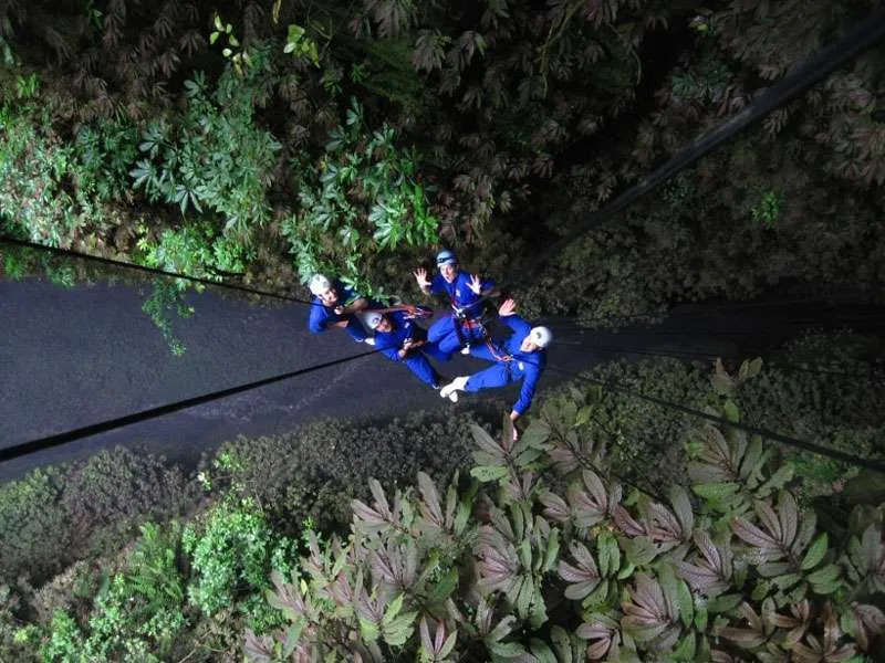 Waitomo Lost World Half-Day Adventure