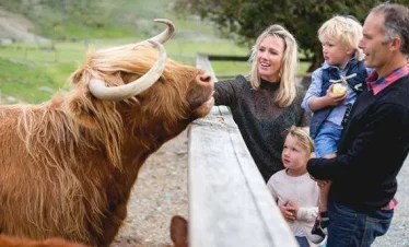 Walter Peak Farm New Zealand