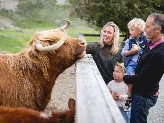 Walter Peak Farm New Zealand