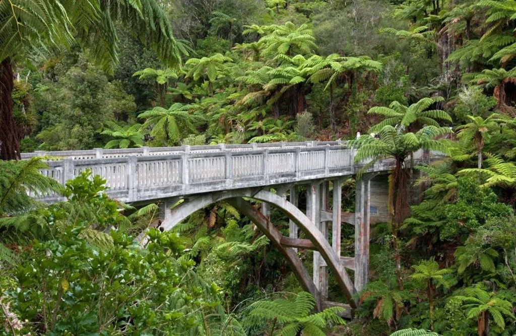 New Zealand Whanganui National Park Bridge to Nowhere