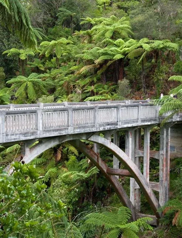 New Zealand Whanganui National Park Bridge to Nowhere