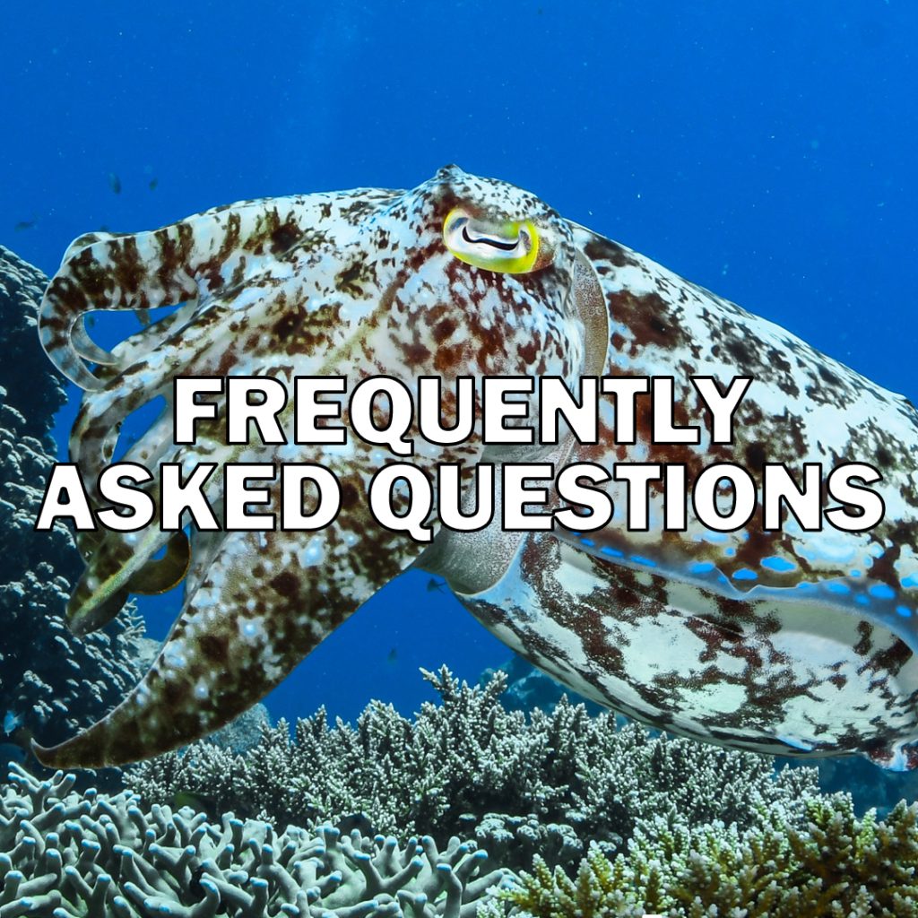 Frequently Asked Questions
