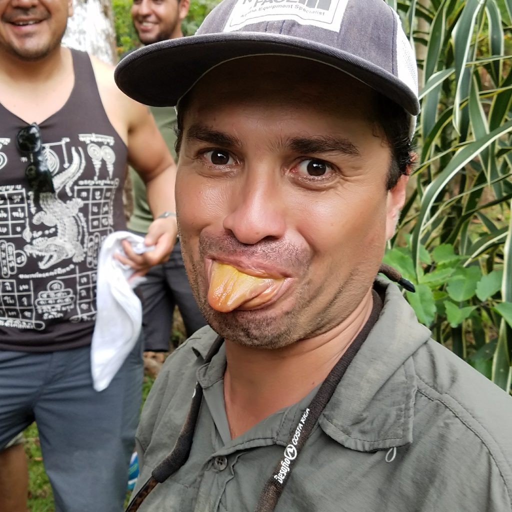 local guides