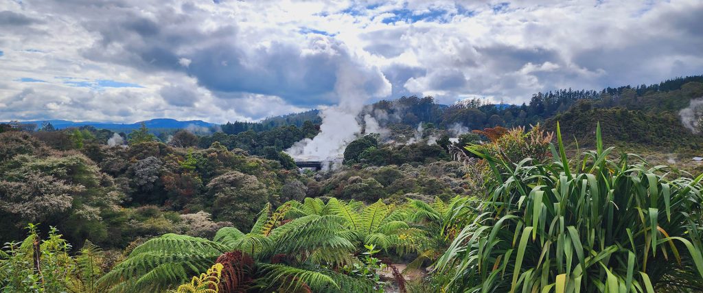 Te Puia Geothermal Wonderland