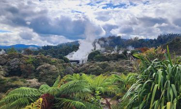 Te Puia Geothermal Wonderland