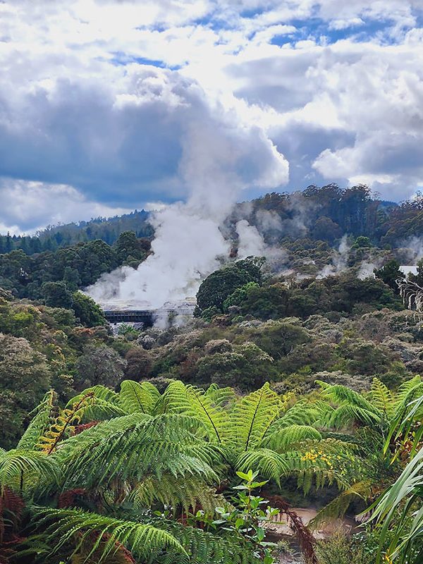 Te Puia Geothermal Wonderland