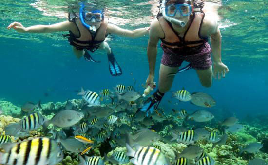 snorkeling at bay of pigs
