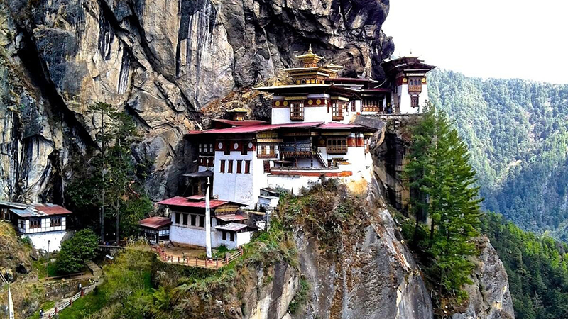 choose your dream trip