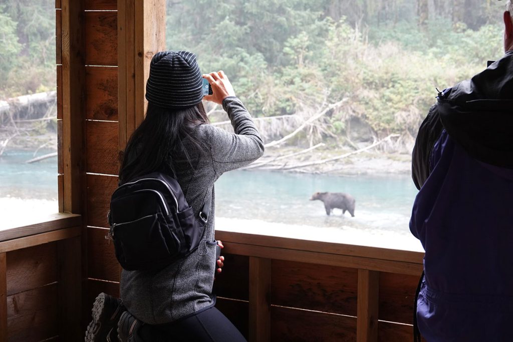 grizzly viewing platform