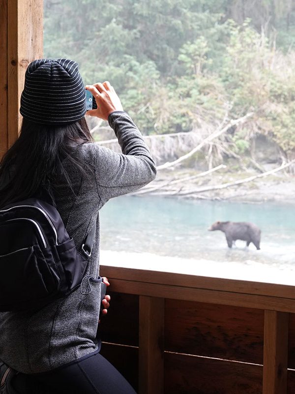 grizzly viewing platform